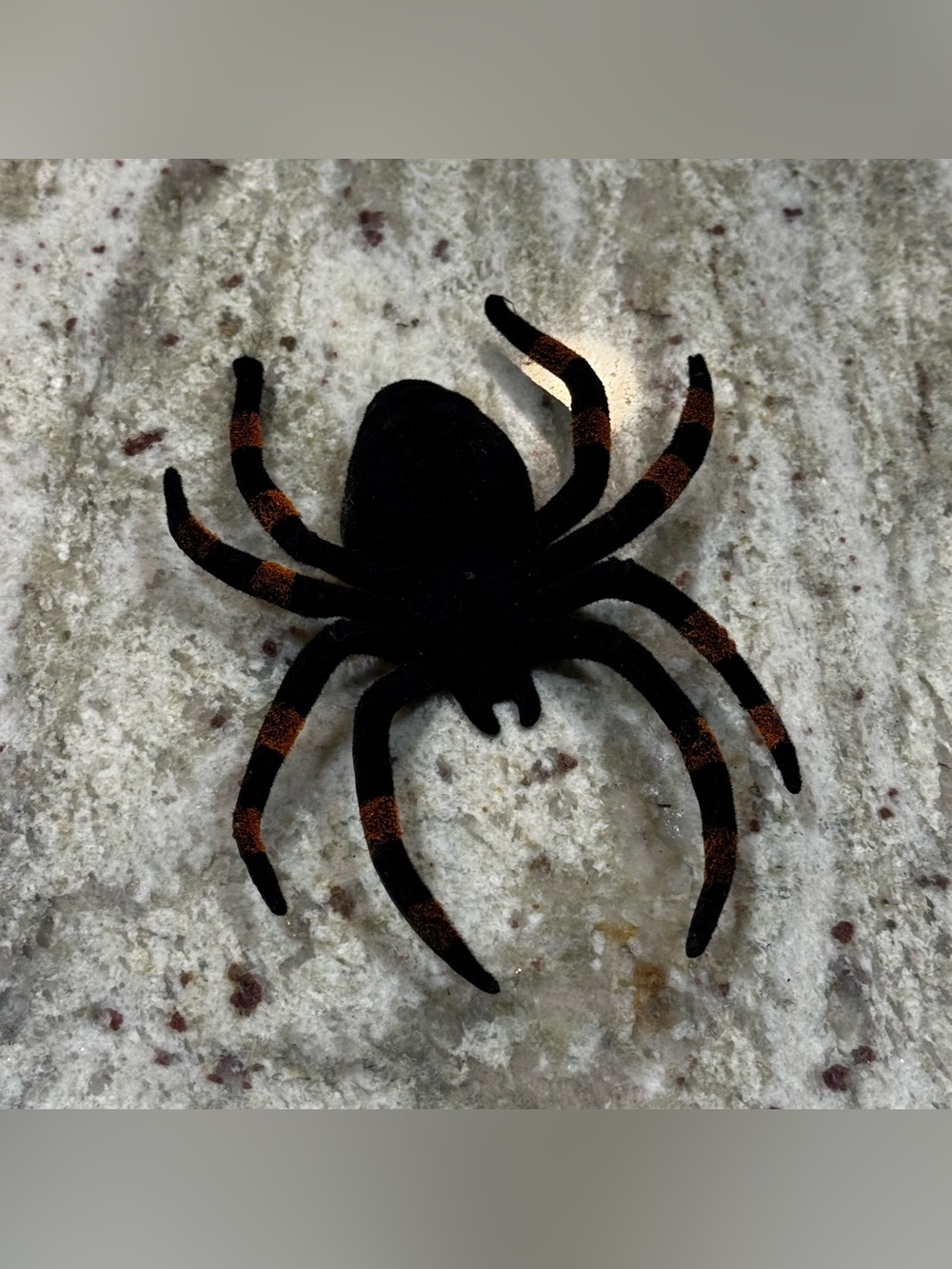 Black and Orange Decorative Flocked Spider
